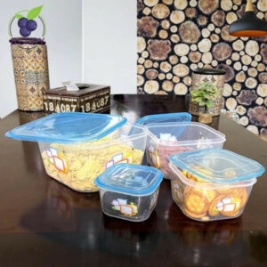 Set of 4 Food Storage Boxes – High Quality Plastic