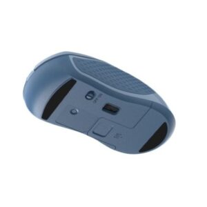 Rapoo B20 Silent Wireless Optical Mouse 2.4 GHz Wireless Connection 1200 DPI Sensor Silent Click – Blue
