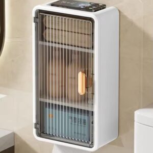 Wall Mounted Cabinet with Tissue Holder Organizer