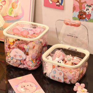 Acrylic Organizer Box
