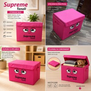Foldable Storage Box (Panda Box)